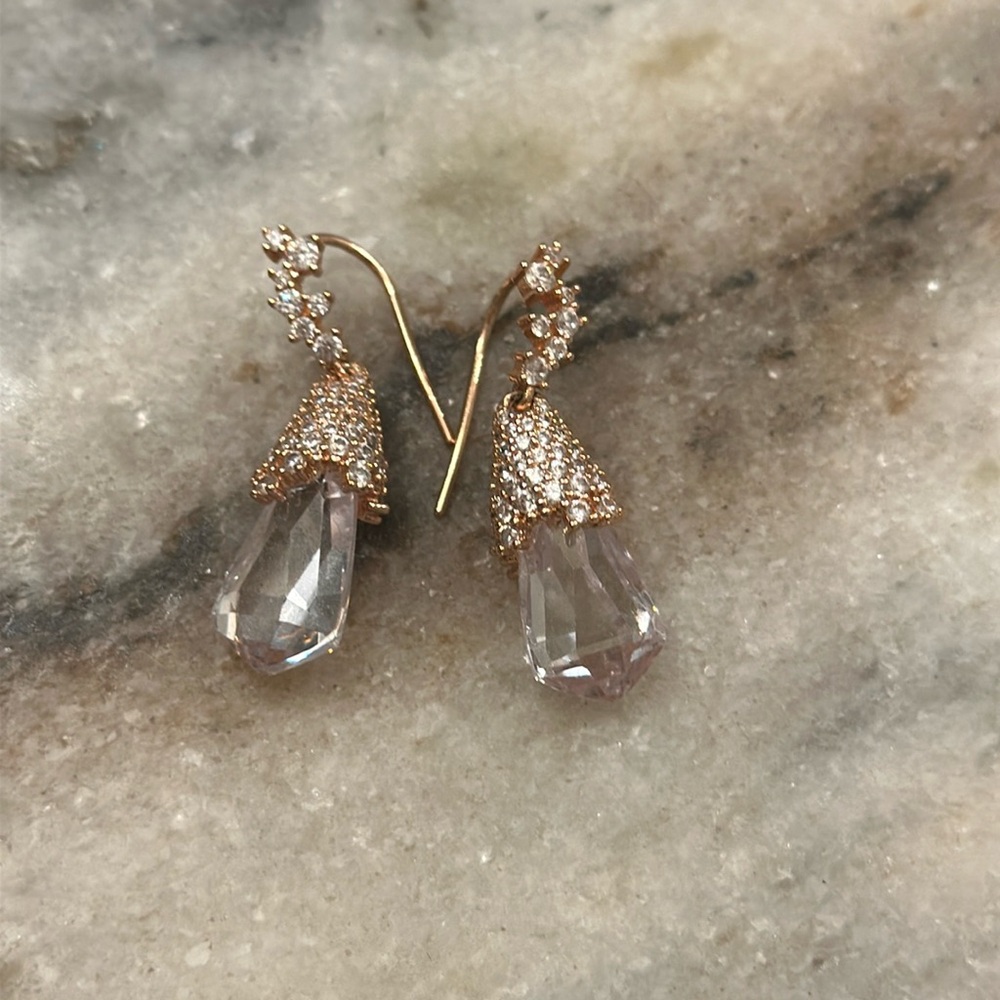Alexis Bittar fashion earrings